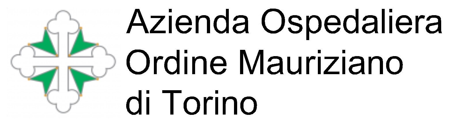 Torino AO Mauriziano
